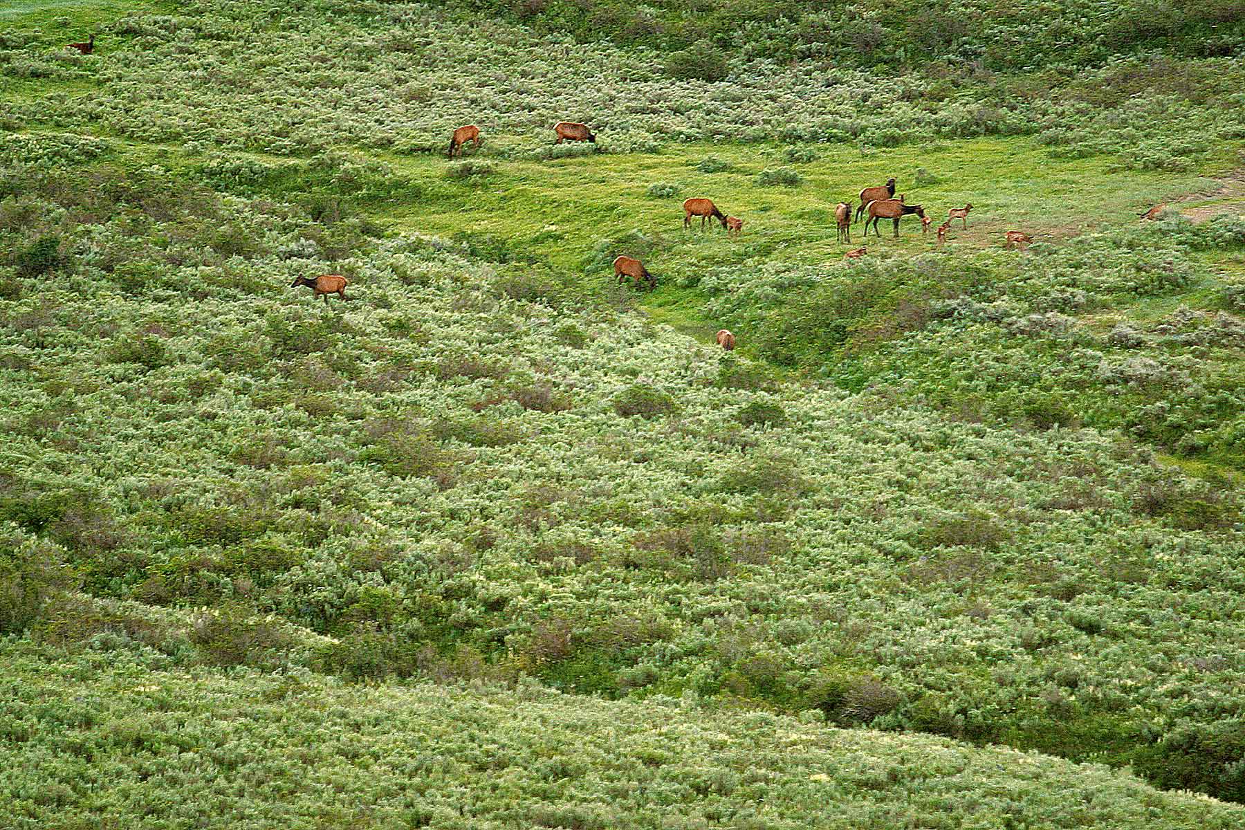 Three Waters Ranch property picture 88 of 148