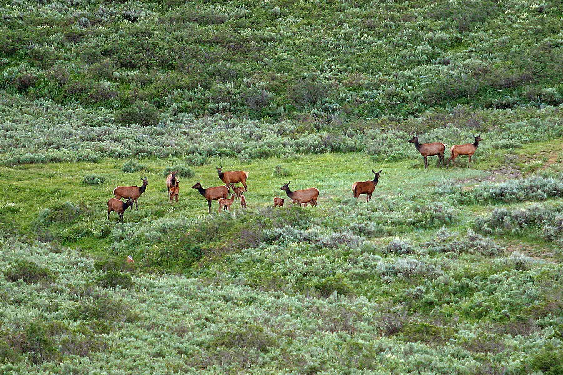 Three Waters Ranch property picture 87 of 148