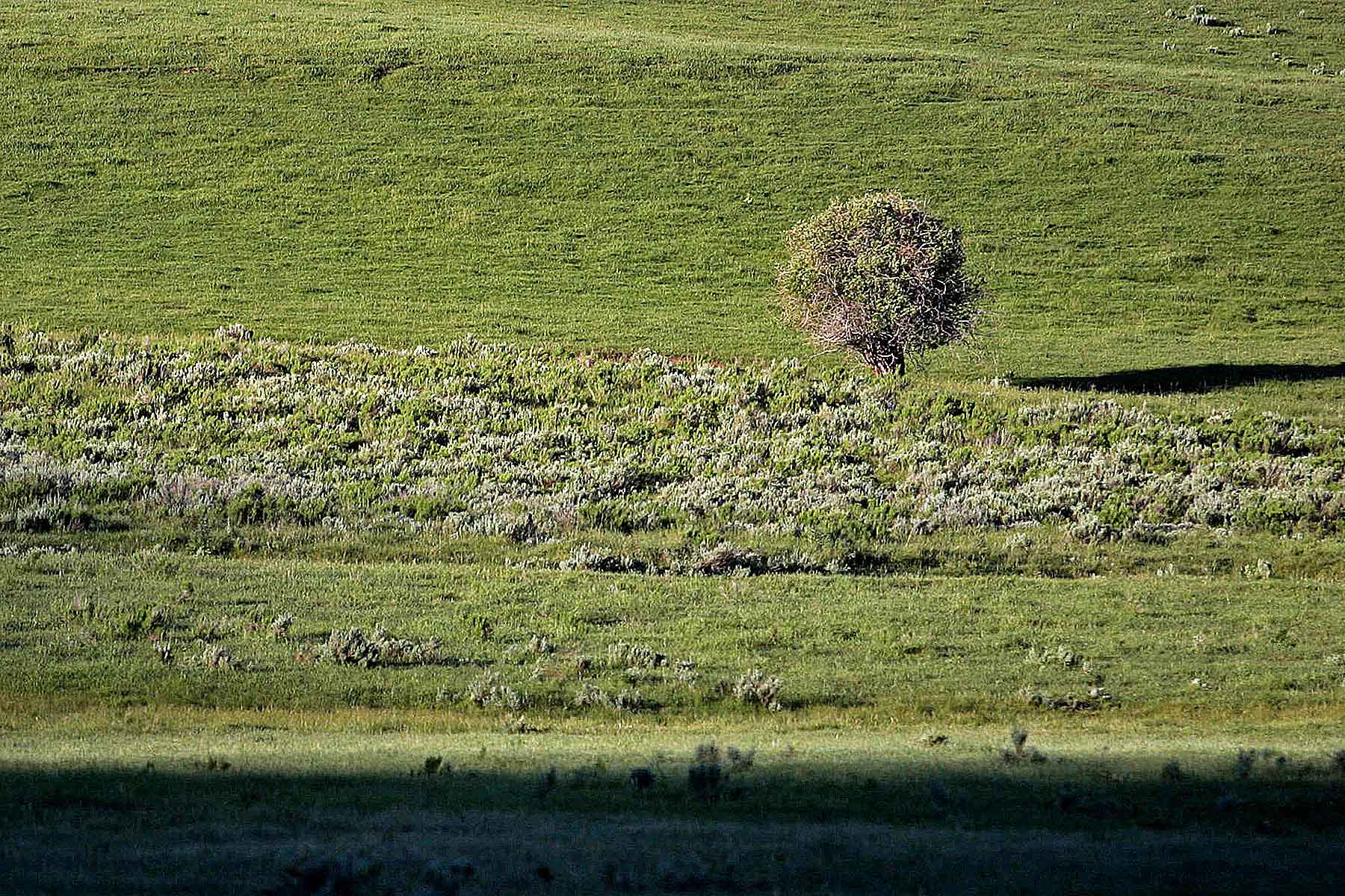 Three Waters Ranch property picture 85 of 148