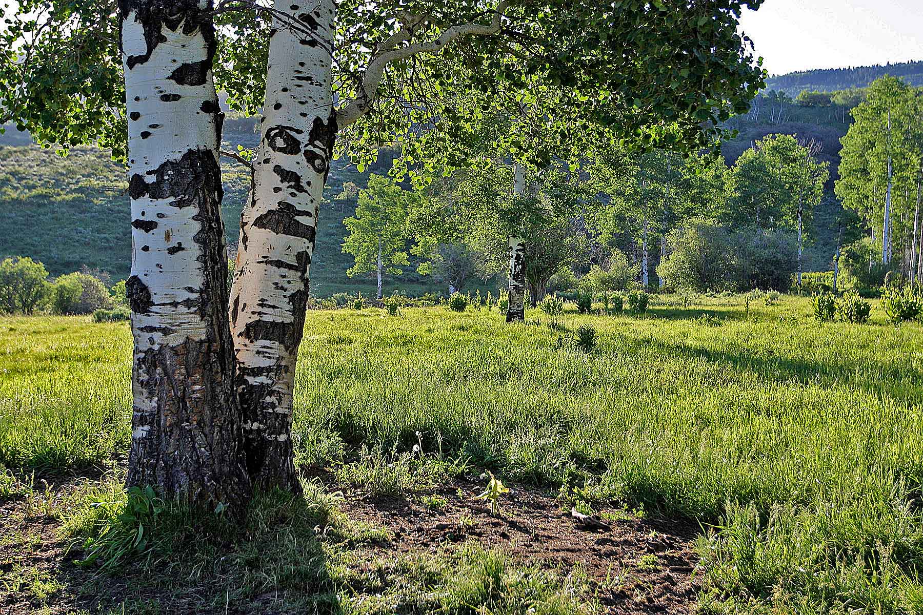 Three Waters Ranch property picture 83 of 148