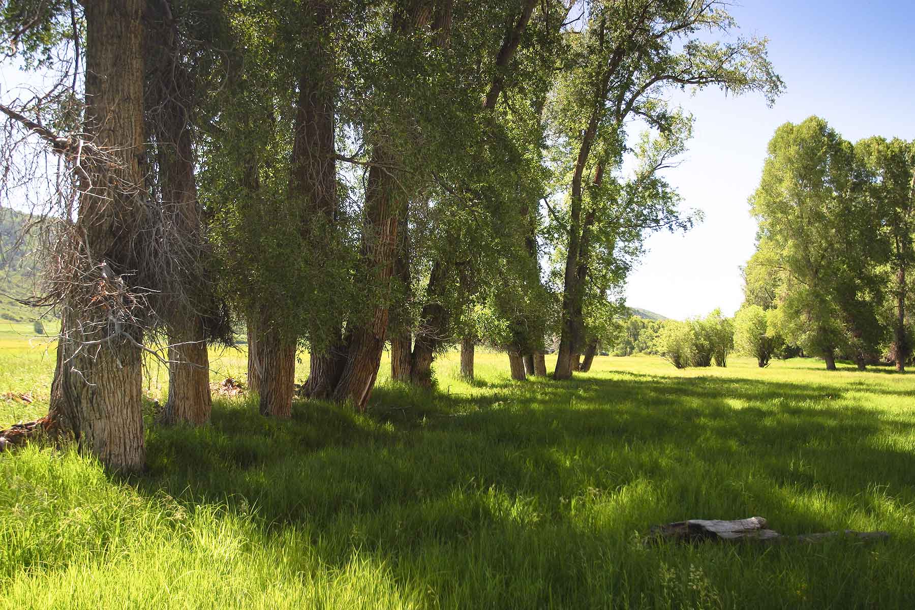 Three Waters Ranch property picture 82 of 148