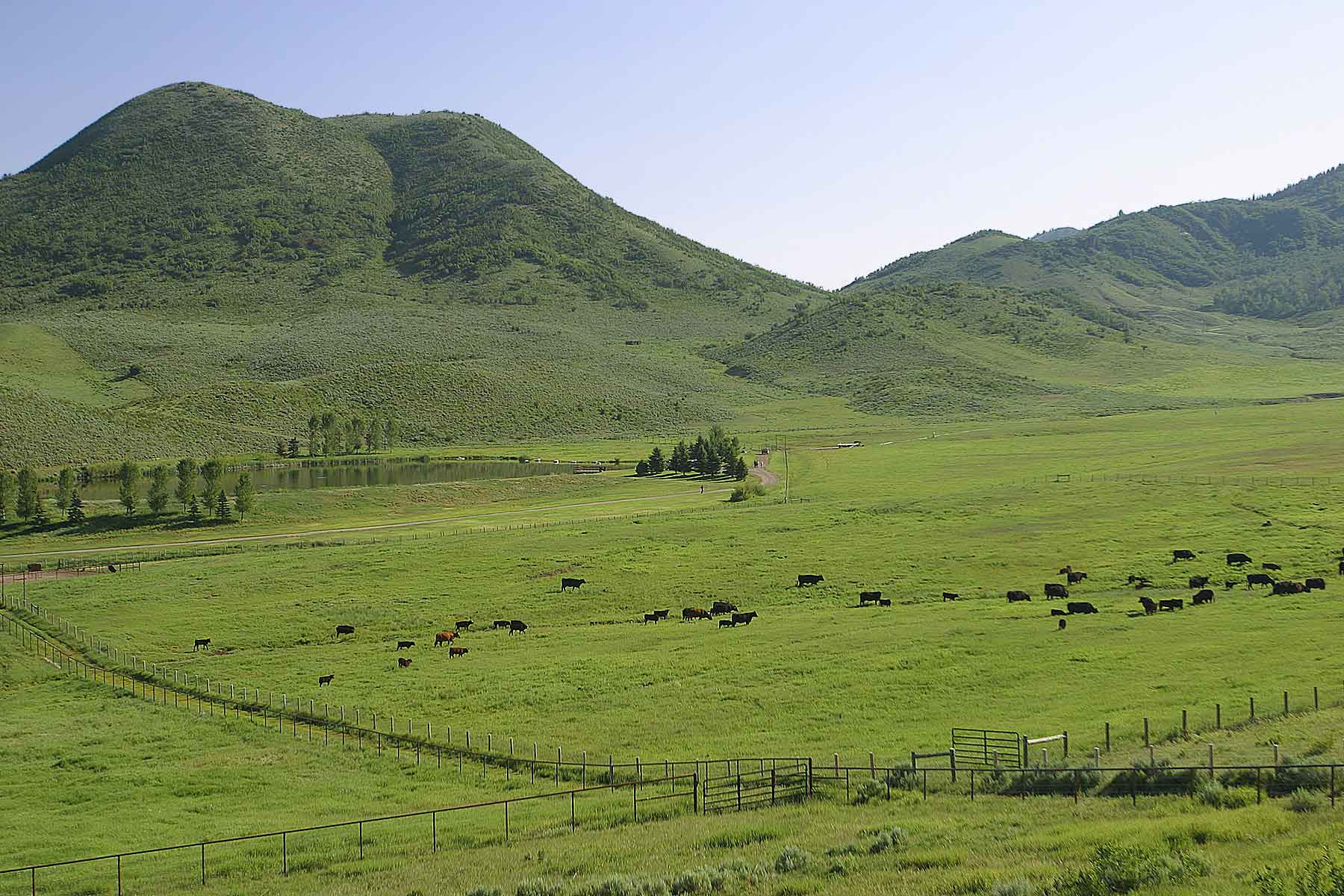 Three Waters Ranch property picture 80 of 148