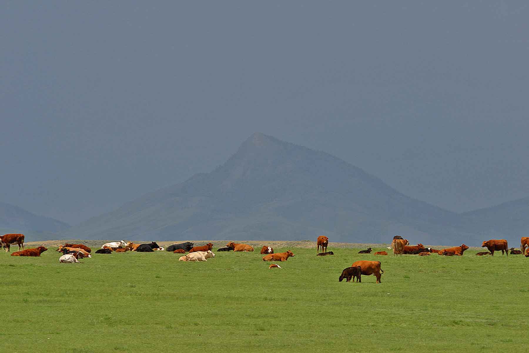 Three Waters Ranch property picture 79 of 148