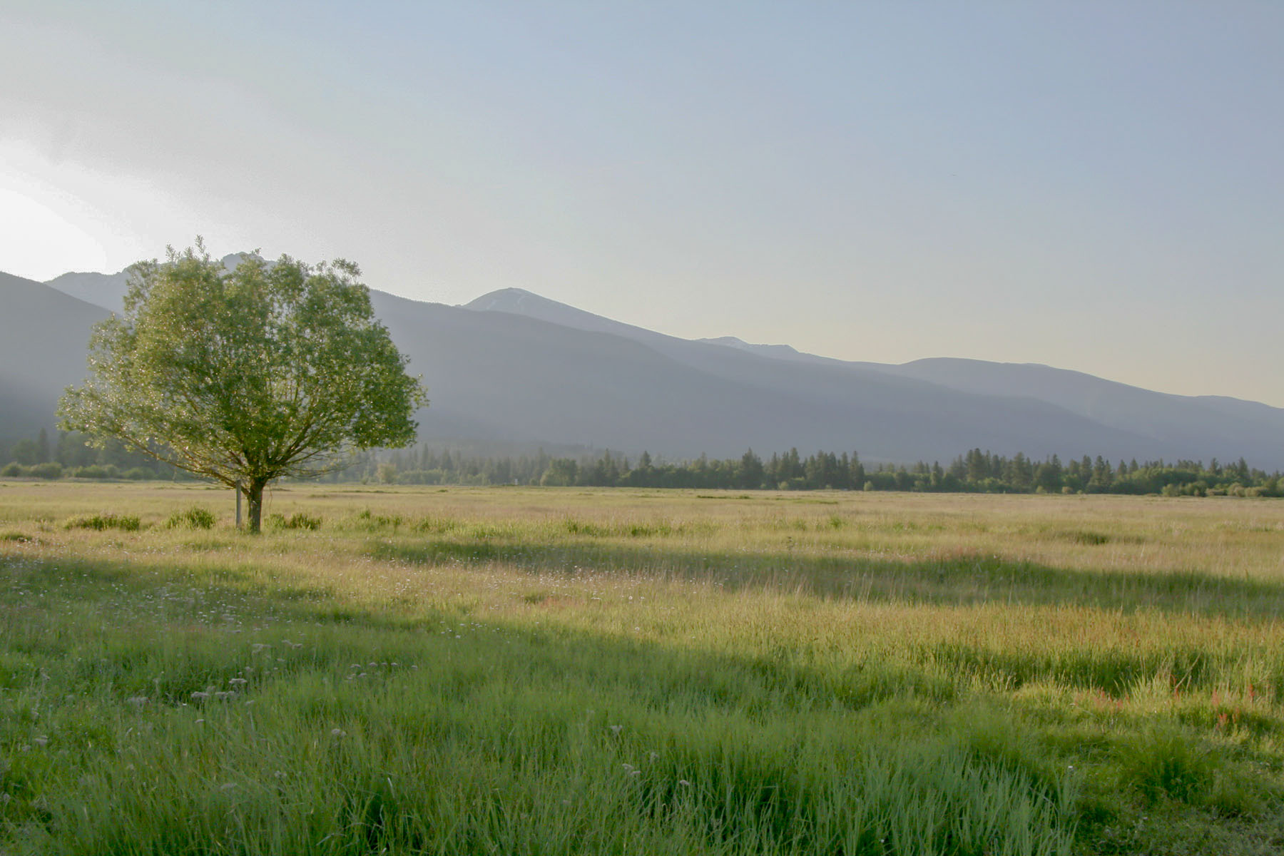 Kootenai Springs Ranch property picture 8 of 92