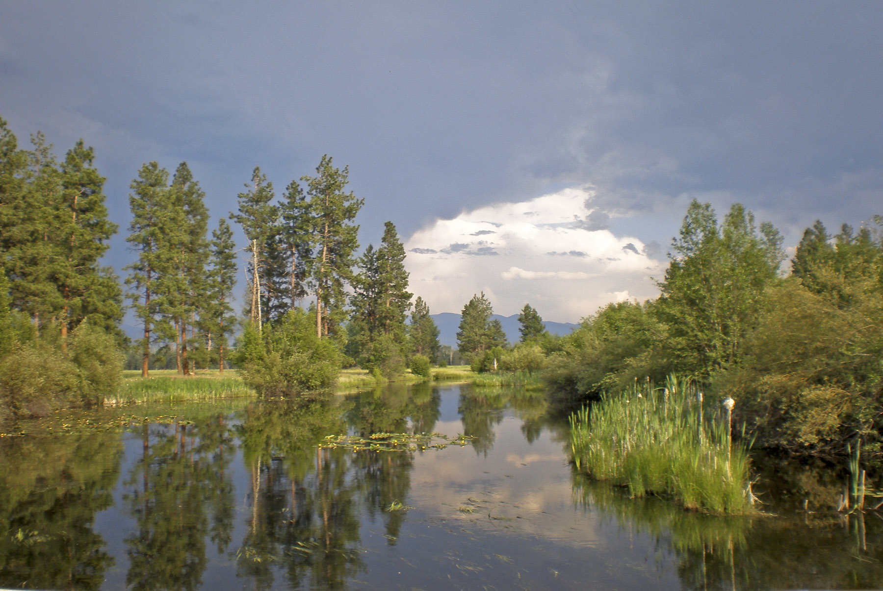 Kootenai Springs Ranch property picture 10 of 92