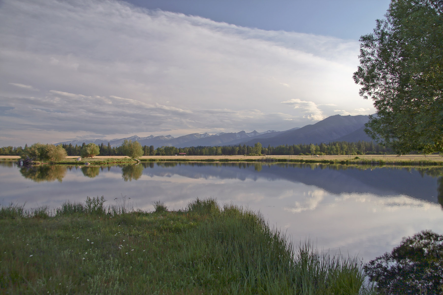 Kootenai Springs Ranch property picture 6 of 92