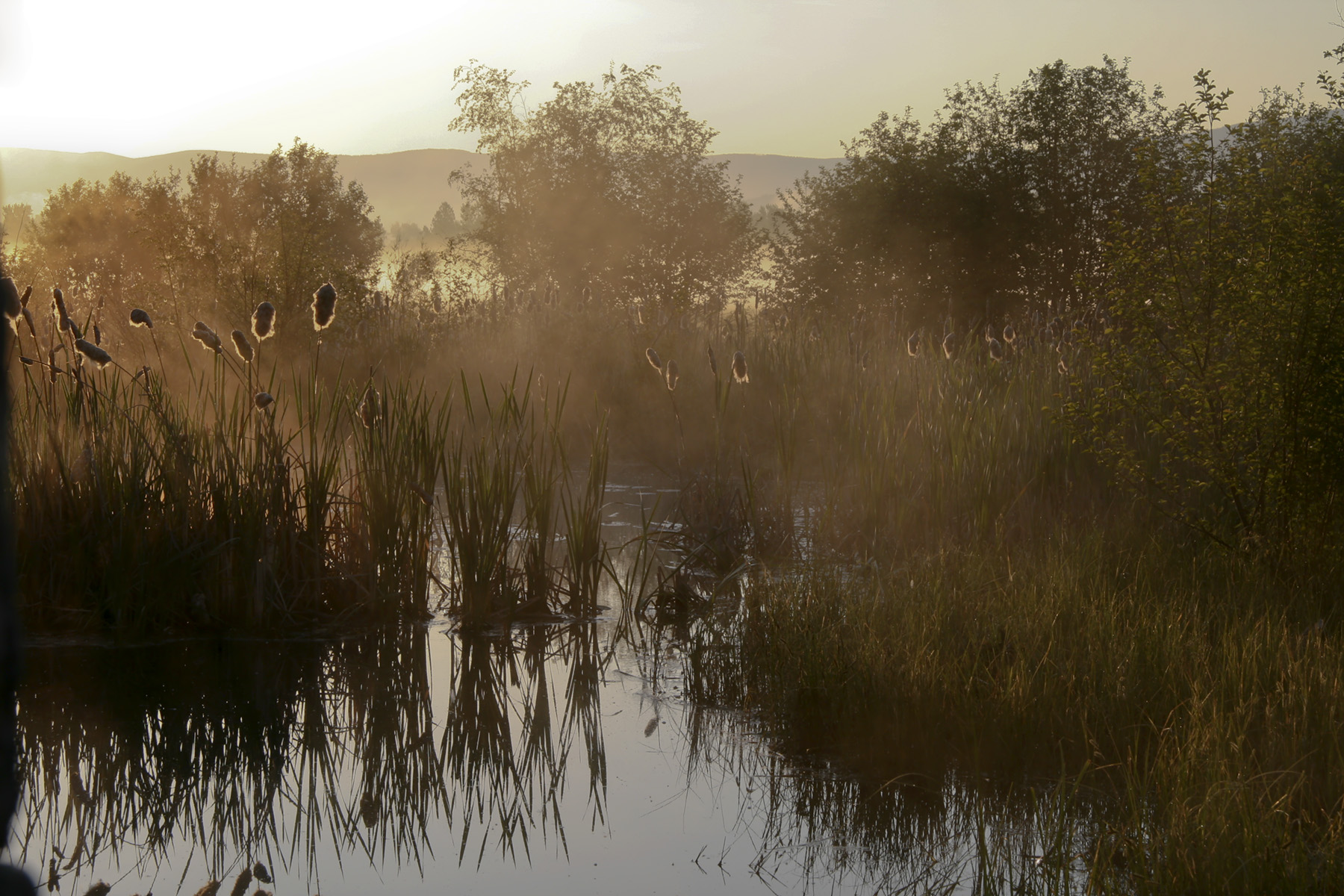 Kootenai Springs Ranch property picture 91 of 92