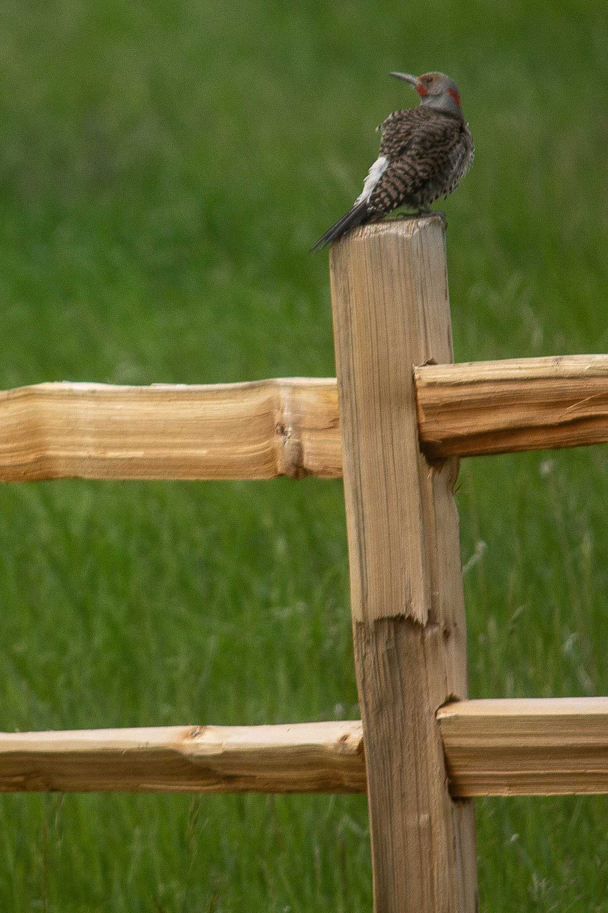 Kootenai Springs Ranch property picture 90 of 92