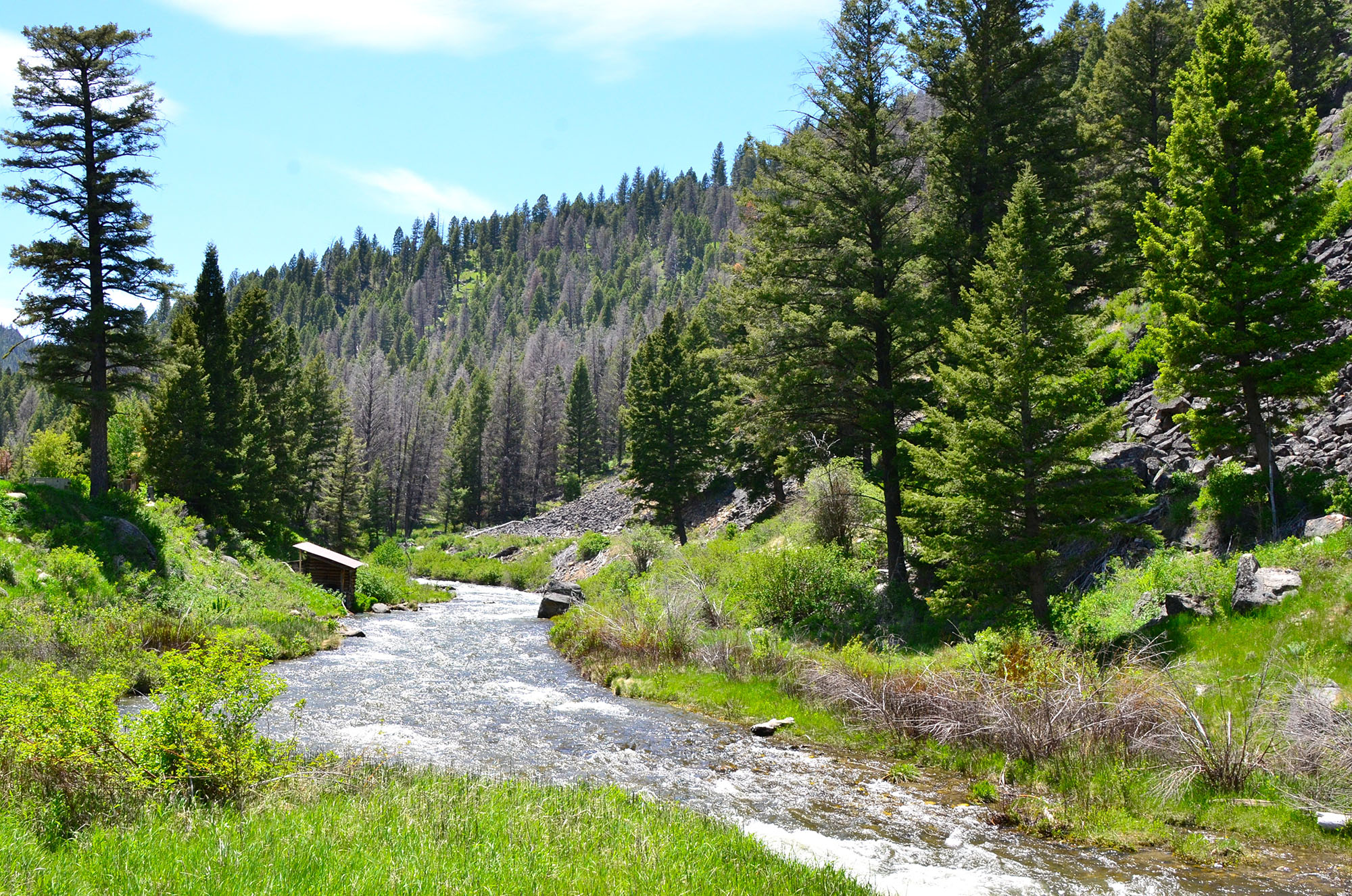Robinson Bar Ranch property picture 27 of 37
