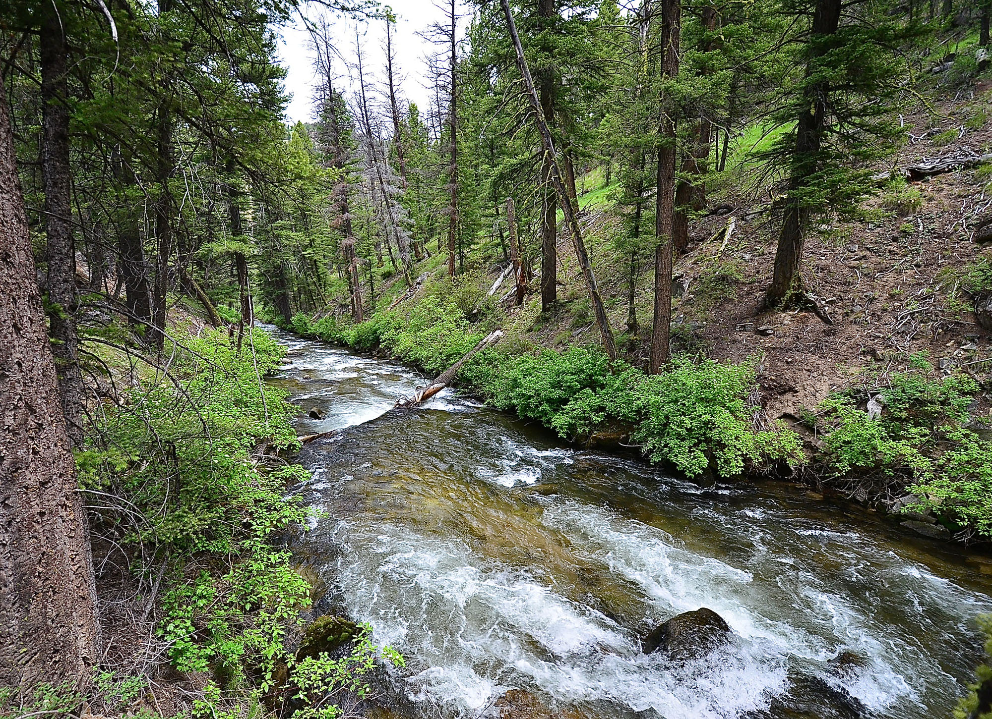 Robinson Bar Ranch property picture 19 of 37