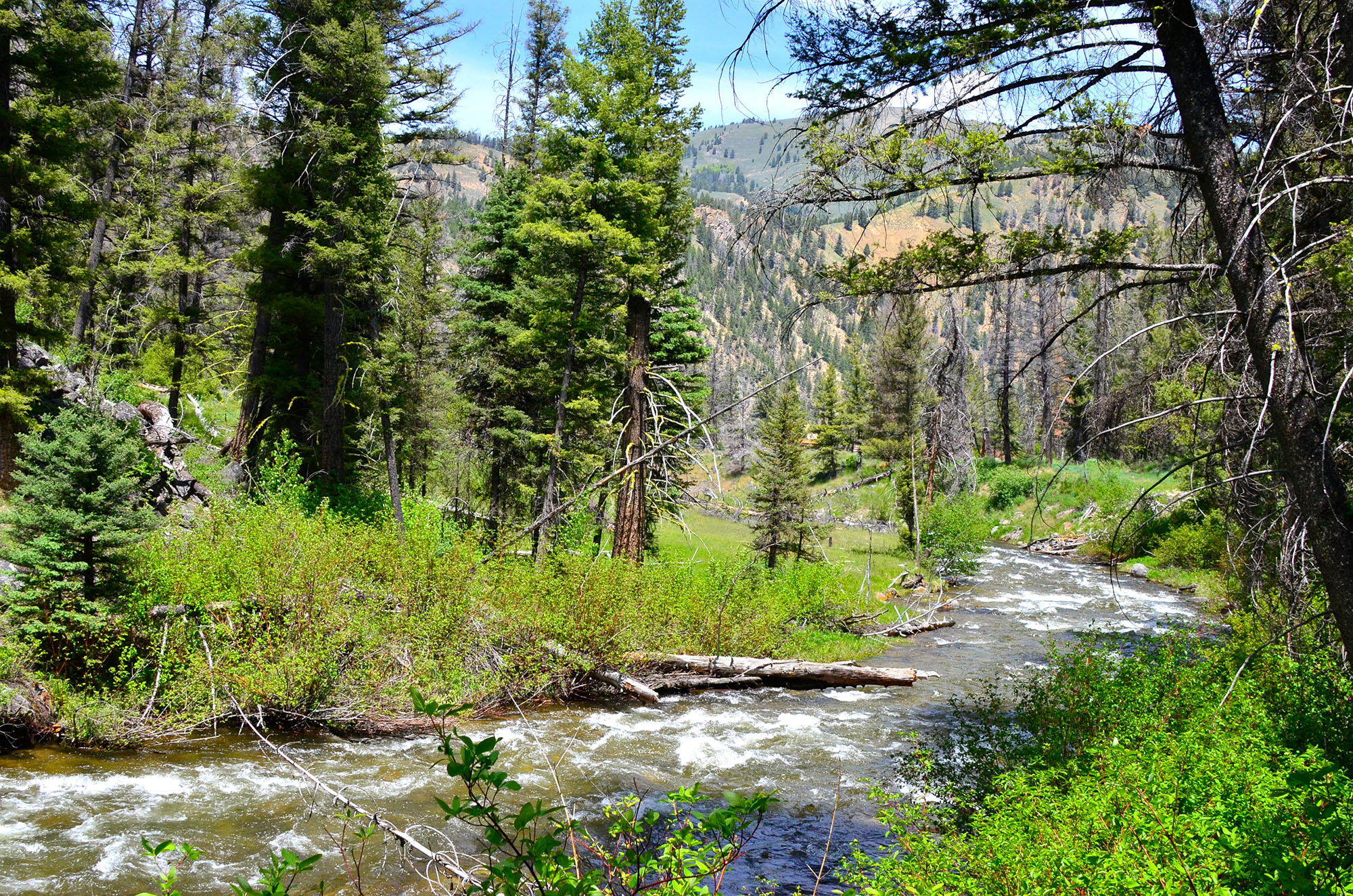 Robinson Bar Ranch property picture 28 of 37