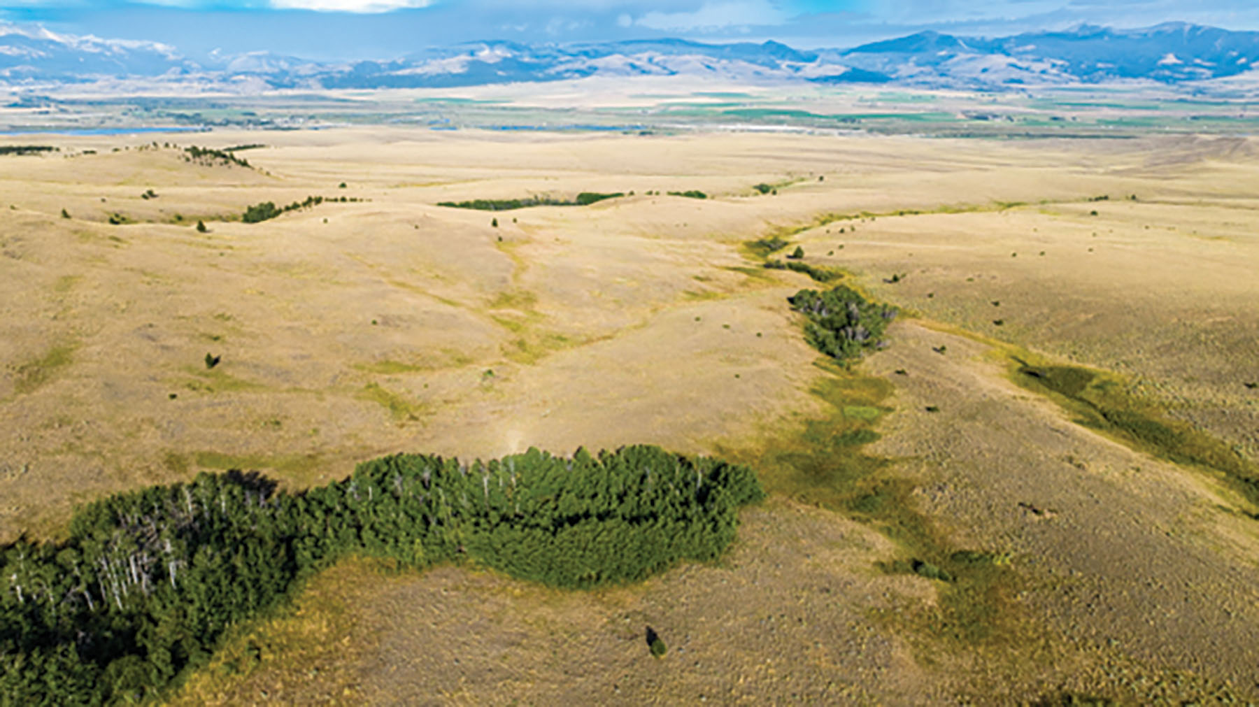 Deer Lodge Mountain Ranch property picture 15 of 29