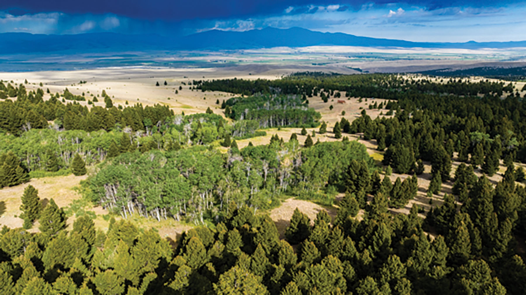 Deer Lodge Mountain Ranch property picture 24 of 29