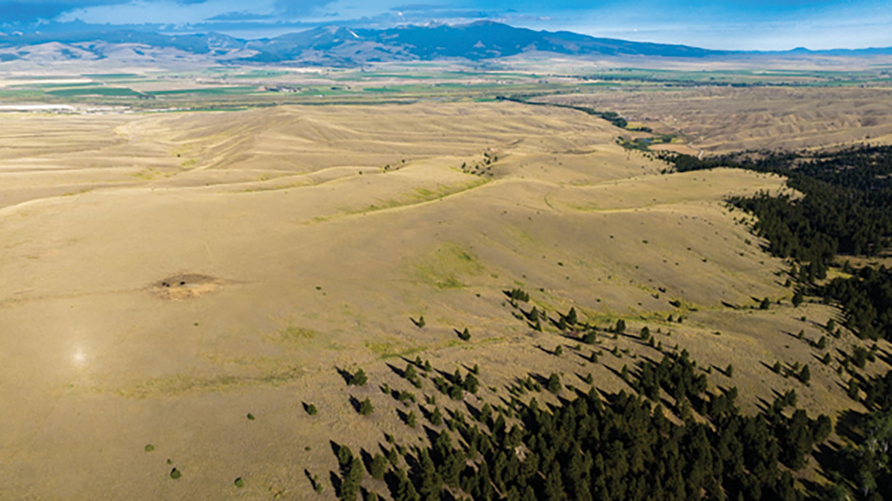 Deer Lodge Mountain Ranch property picture 29 of 29