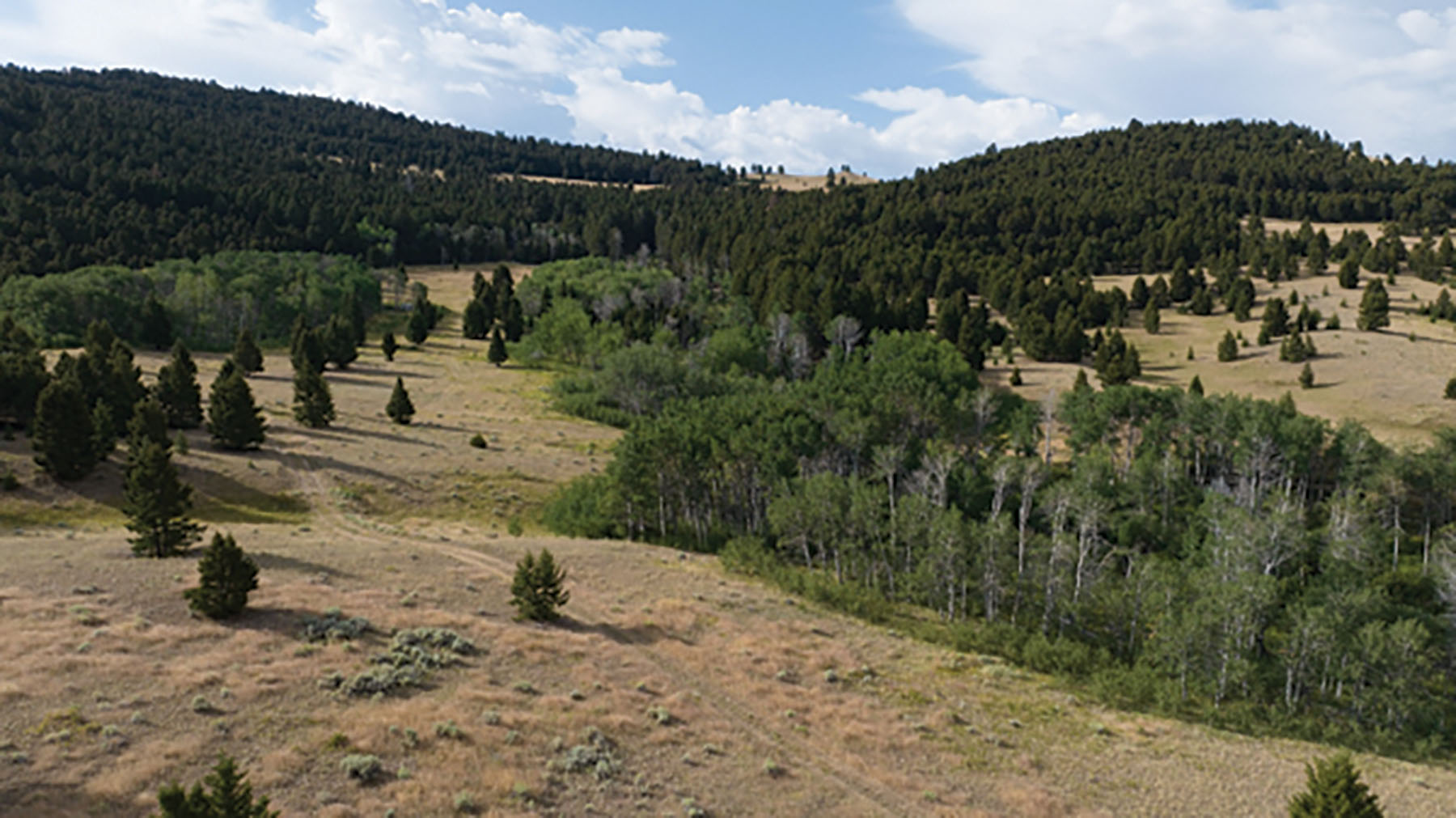 Deer Lodge Mountain Ranch property picture 26 of 29