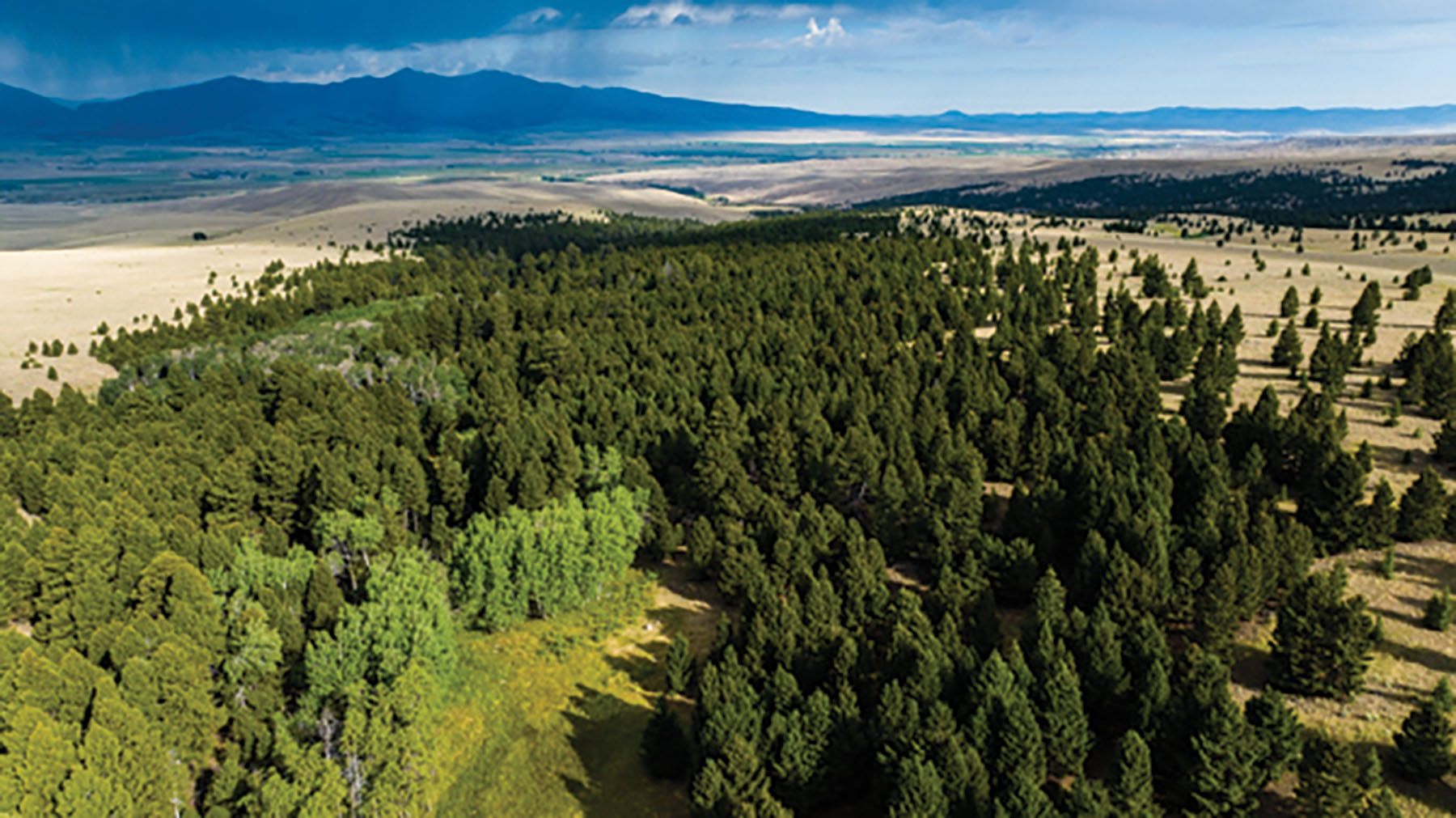 Deer Lodge Mountain Ranch property picture 22 of 29