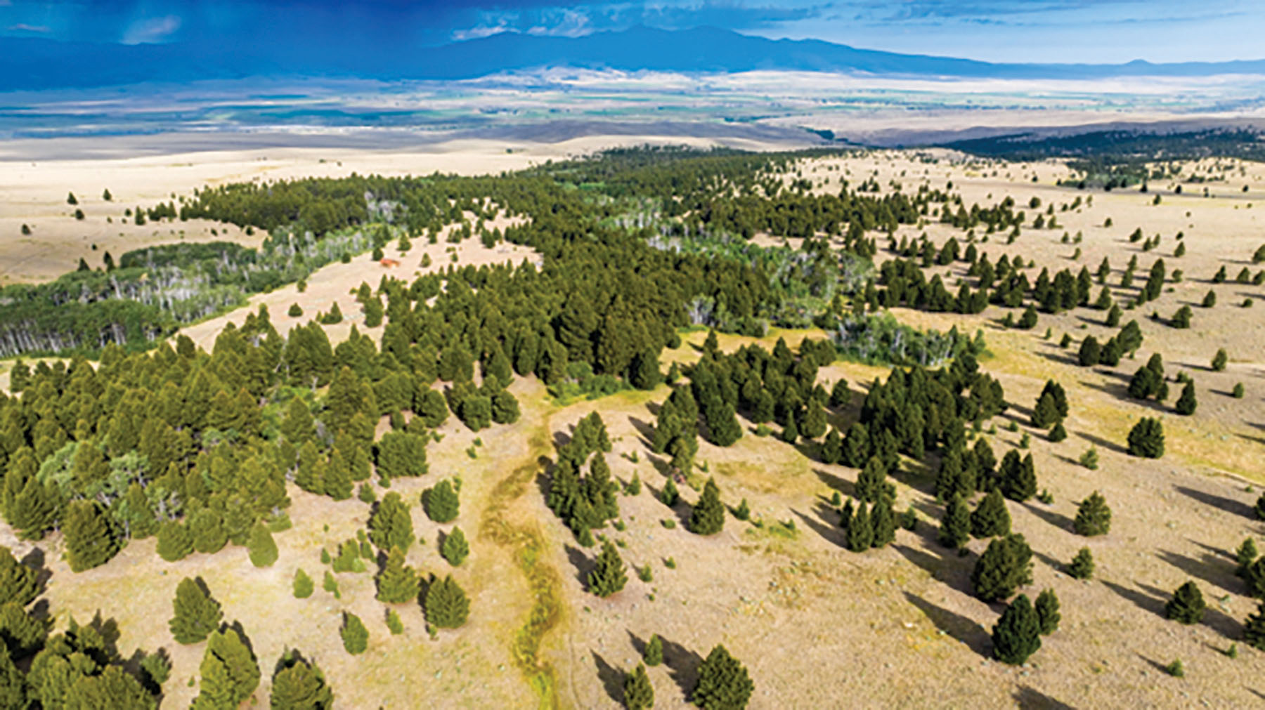 Deer Lodge Mountain Ranch property picture 25 of 29