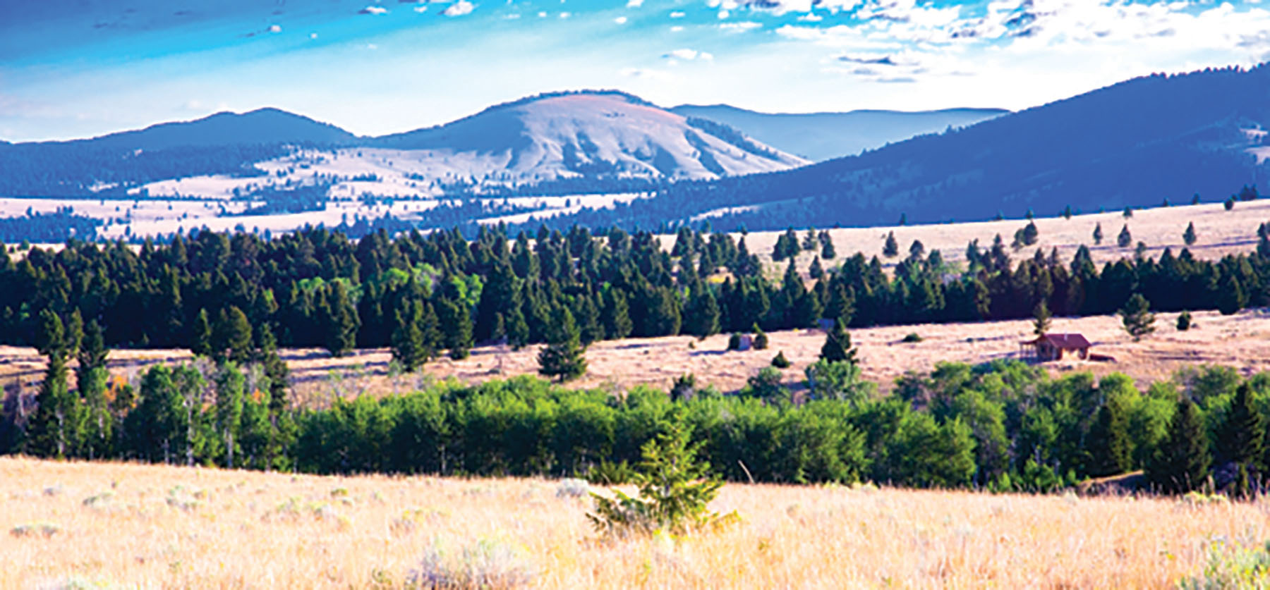 Deer Lodge Mountain Ranch property picture 11 of 29