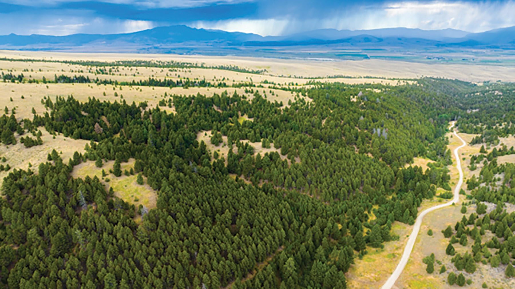 Deer Lodge Mountain Ranch property picture 16 of 29