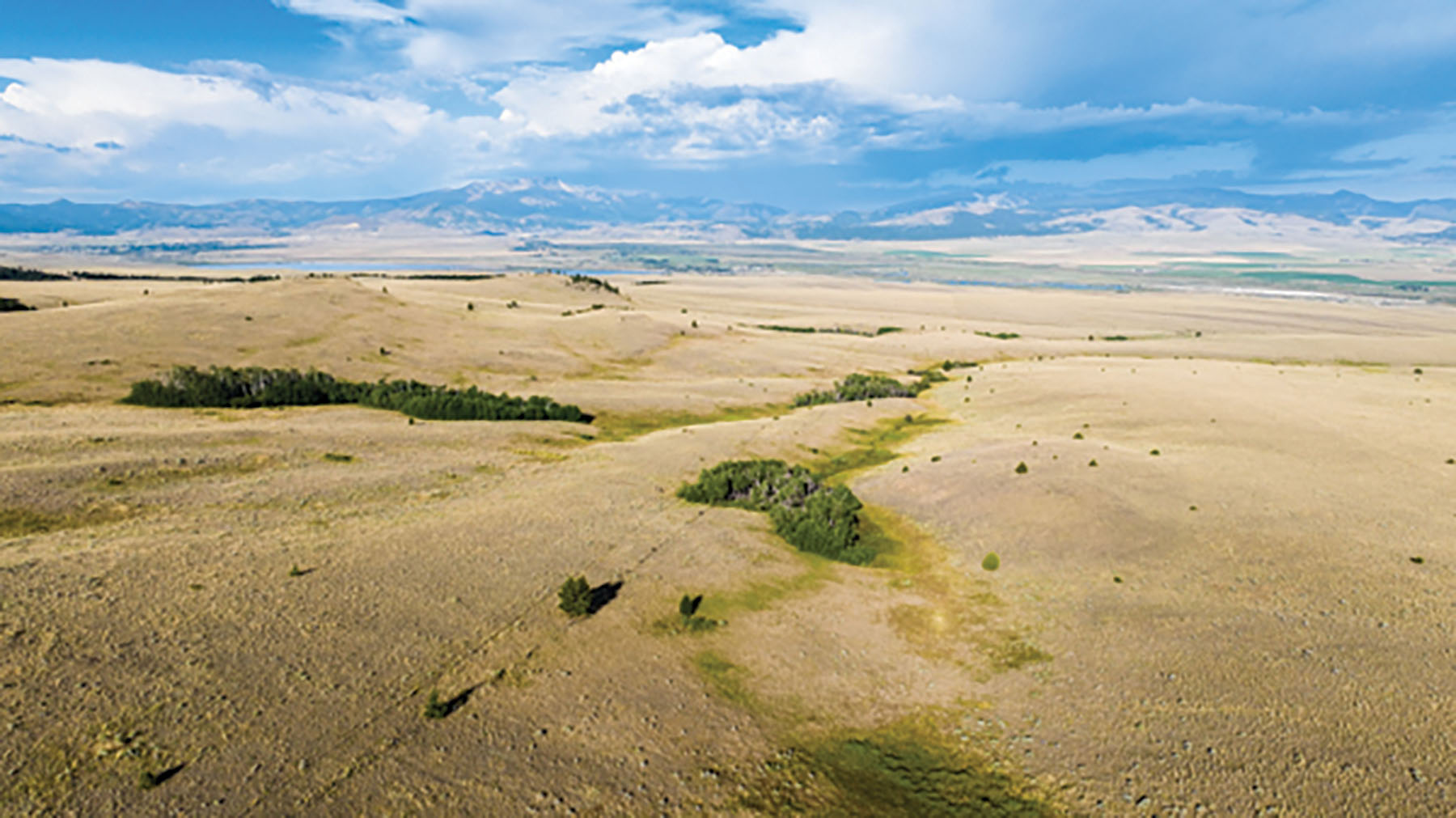 Deer Lodge Mountain Ranch property picture 19 of 29