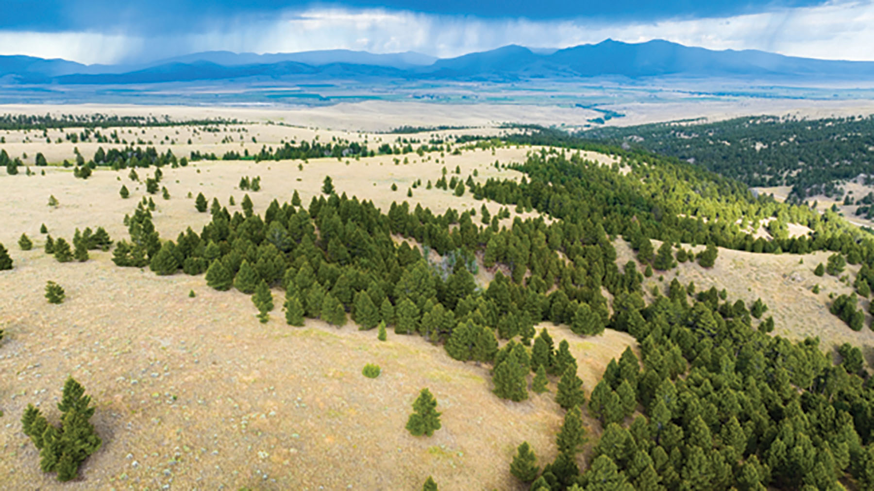 Deer Lodge Mountain Ranch property picture 18 of 29