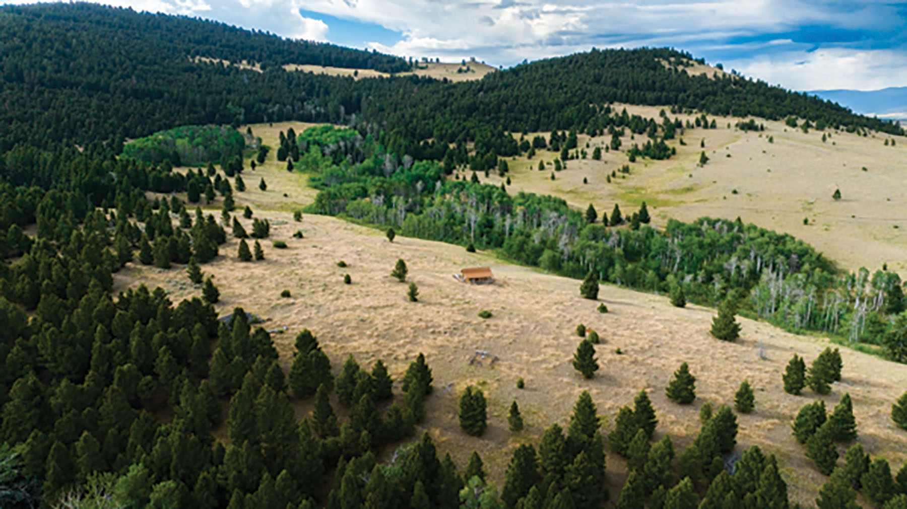 Deer Lodge Mountain Ranch property picture 13 of 29