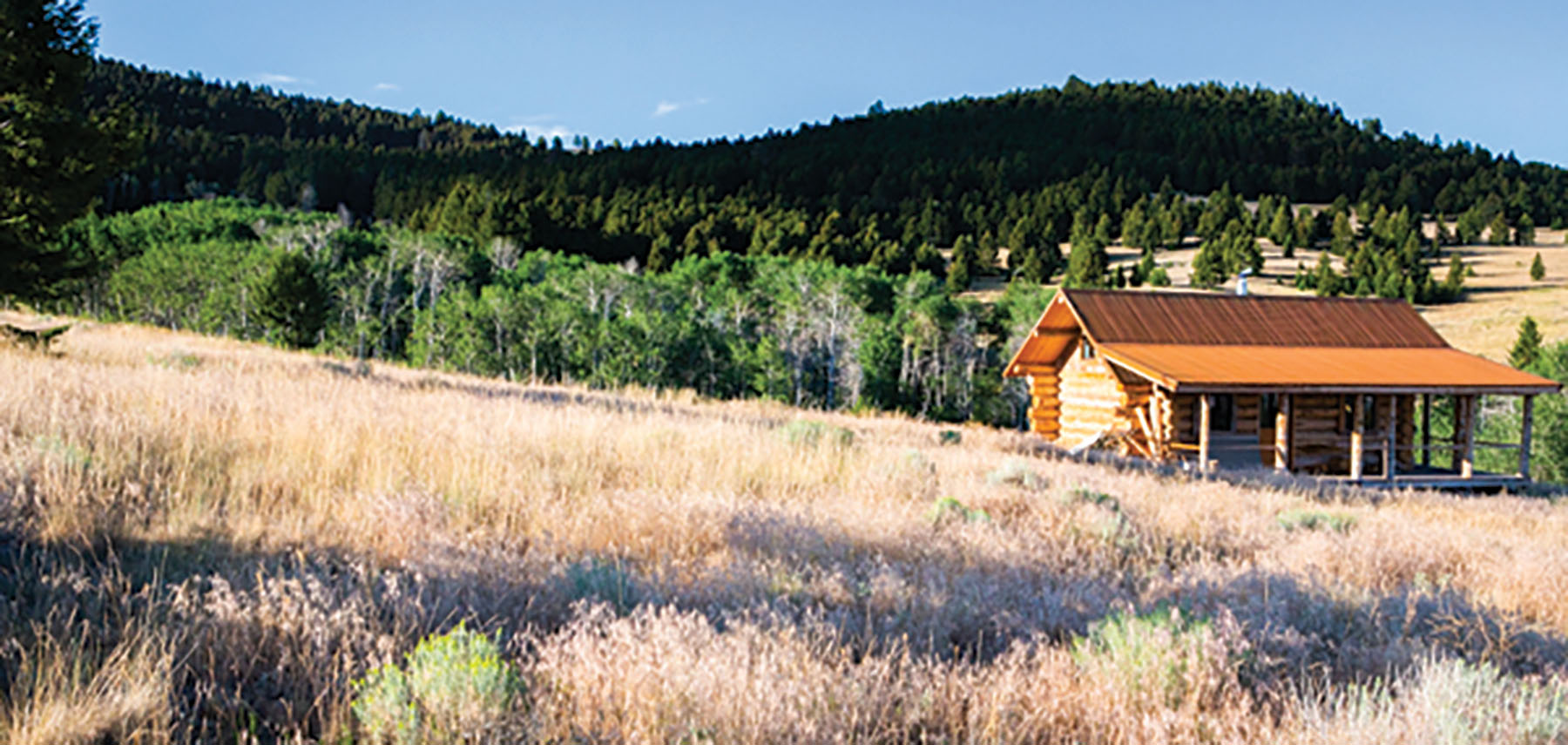 Deer Lodge Mountain Ranch property picture 4 of 29