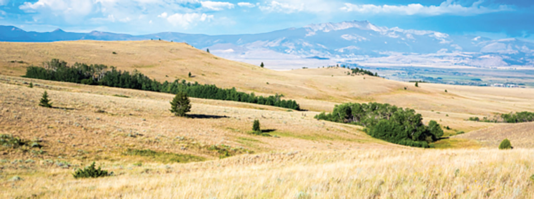 Deer Lodge Mountain Ranch property picture 8 of 29