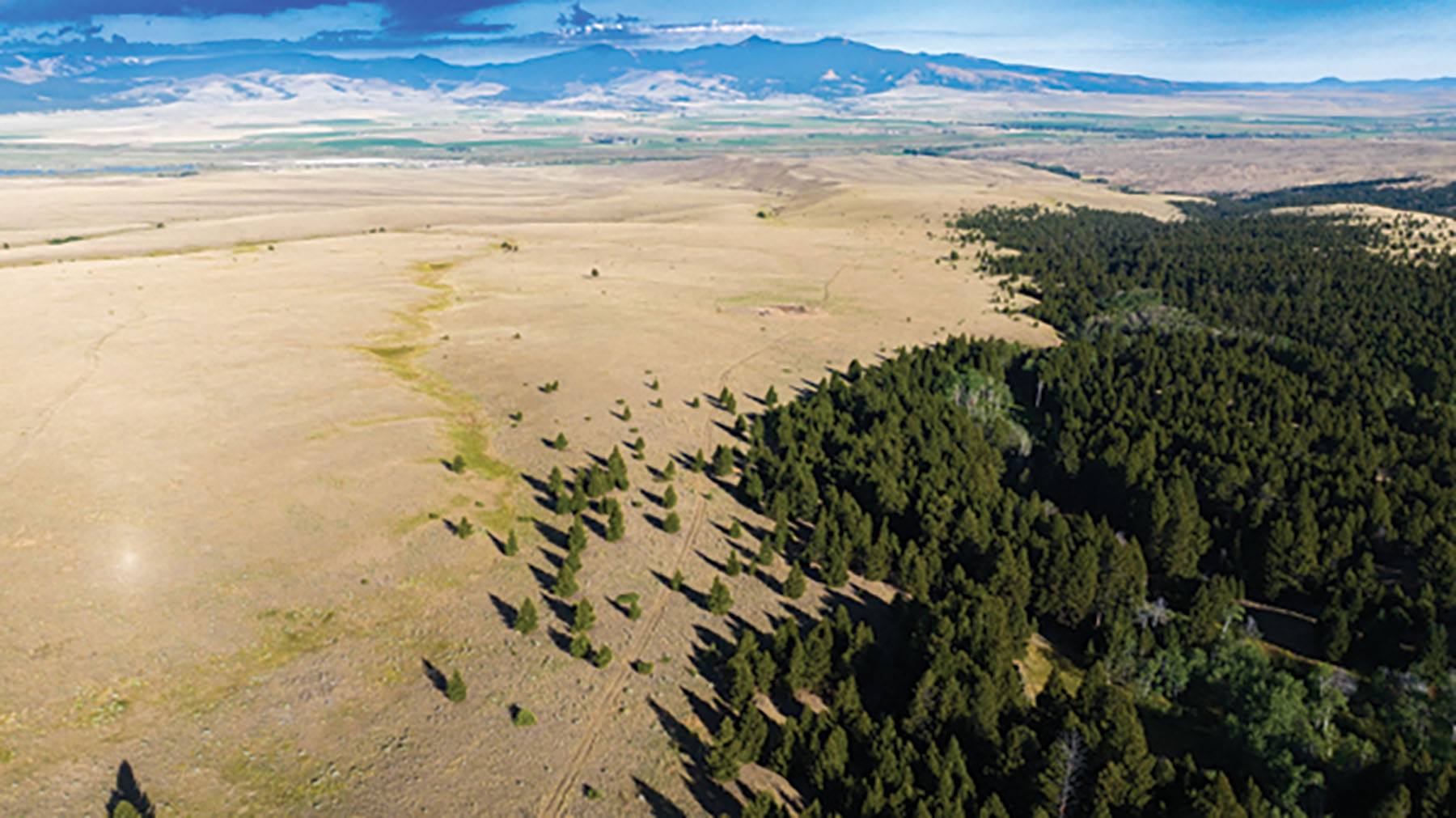 Deer Lodge Mountain Ranch property picture 17 of 29