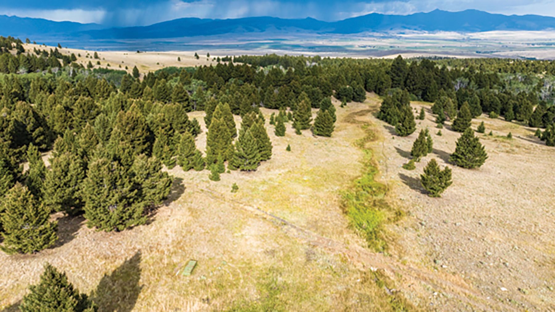 Deer Lodge Mountain Ranch property picture 5 of 29