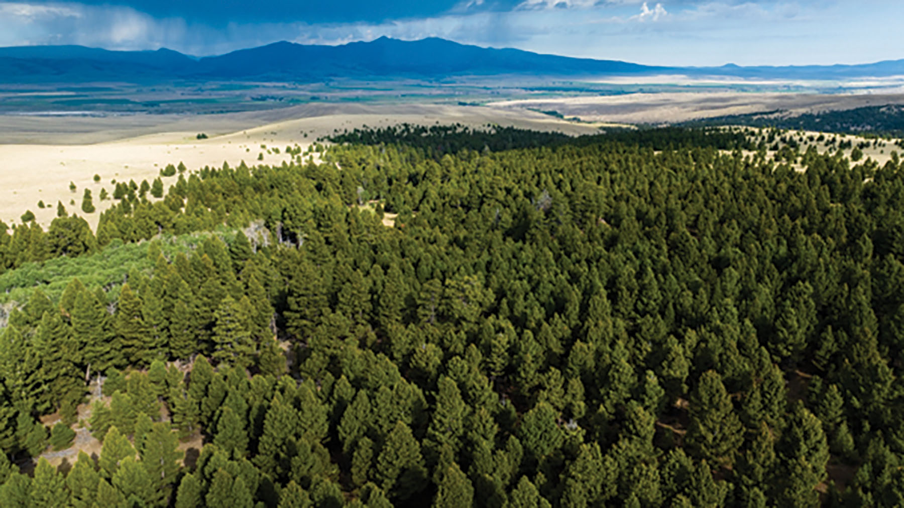 Deer Lodge Mountain Ranch property picture 20 of 29