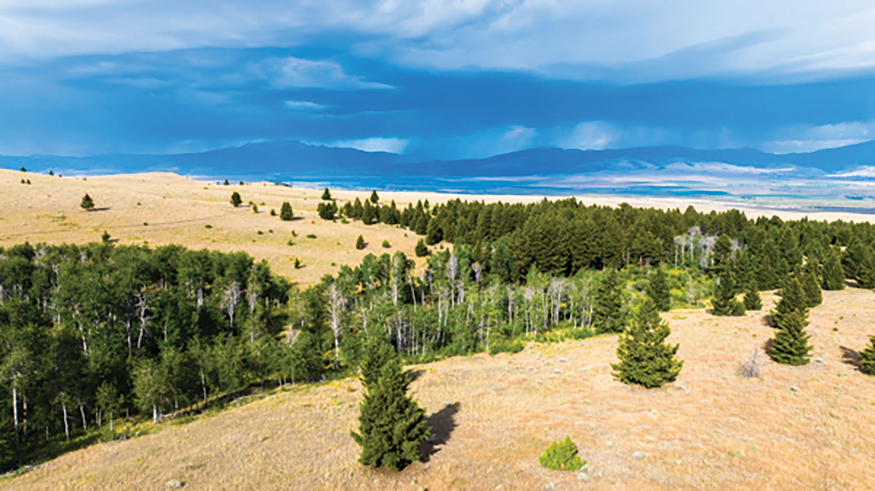 Deer Lodge Mountain Ranch property picture 27 of 29