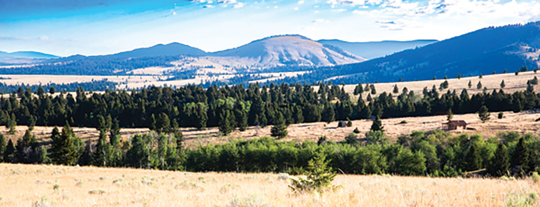 Deer Lodge Mountain Ranch property picture 6 of 29