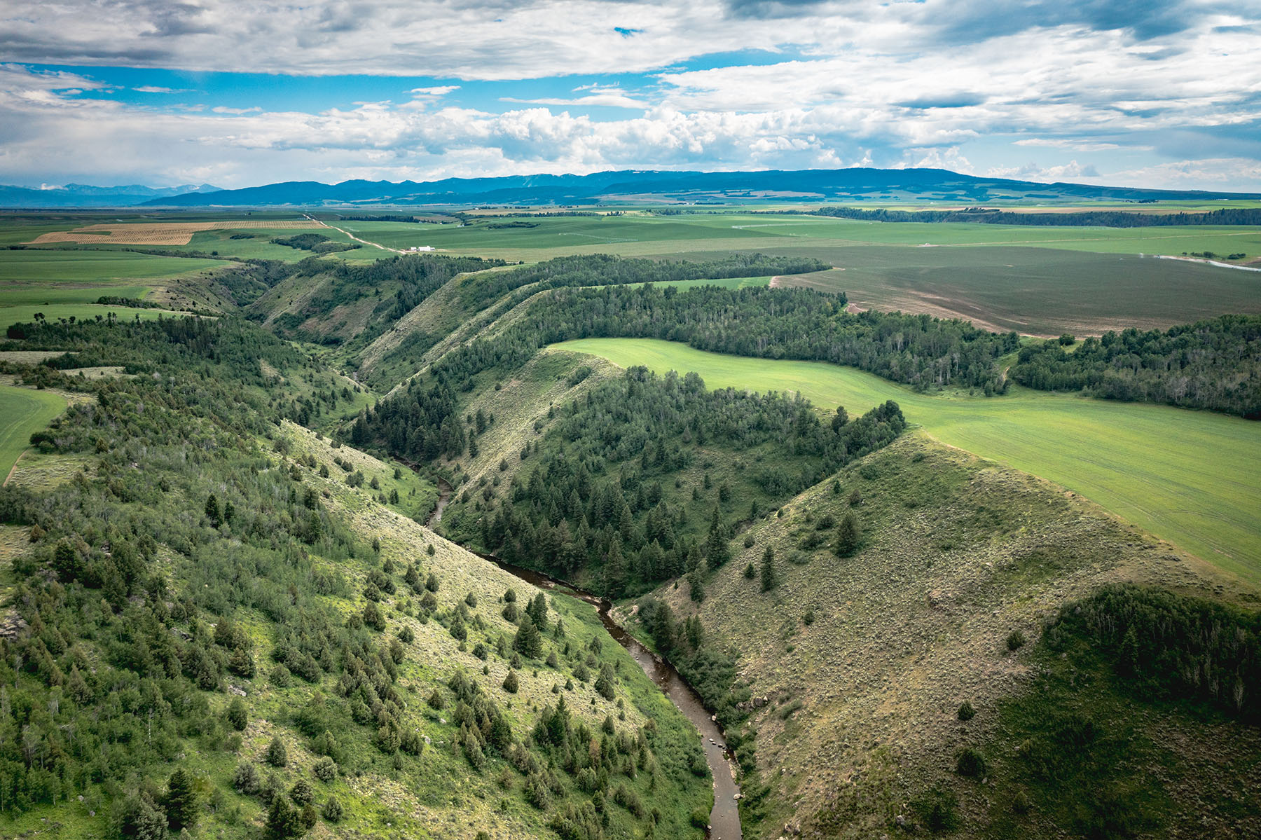 Badger Creek Canyon Ranch property picture 2 of 37
