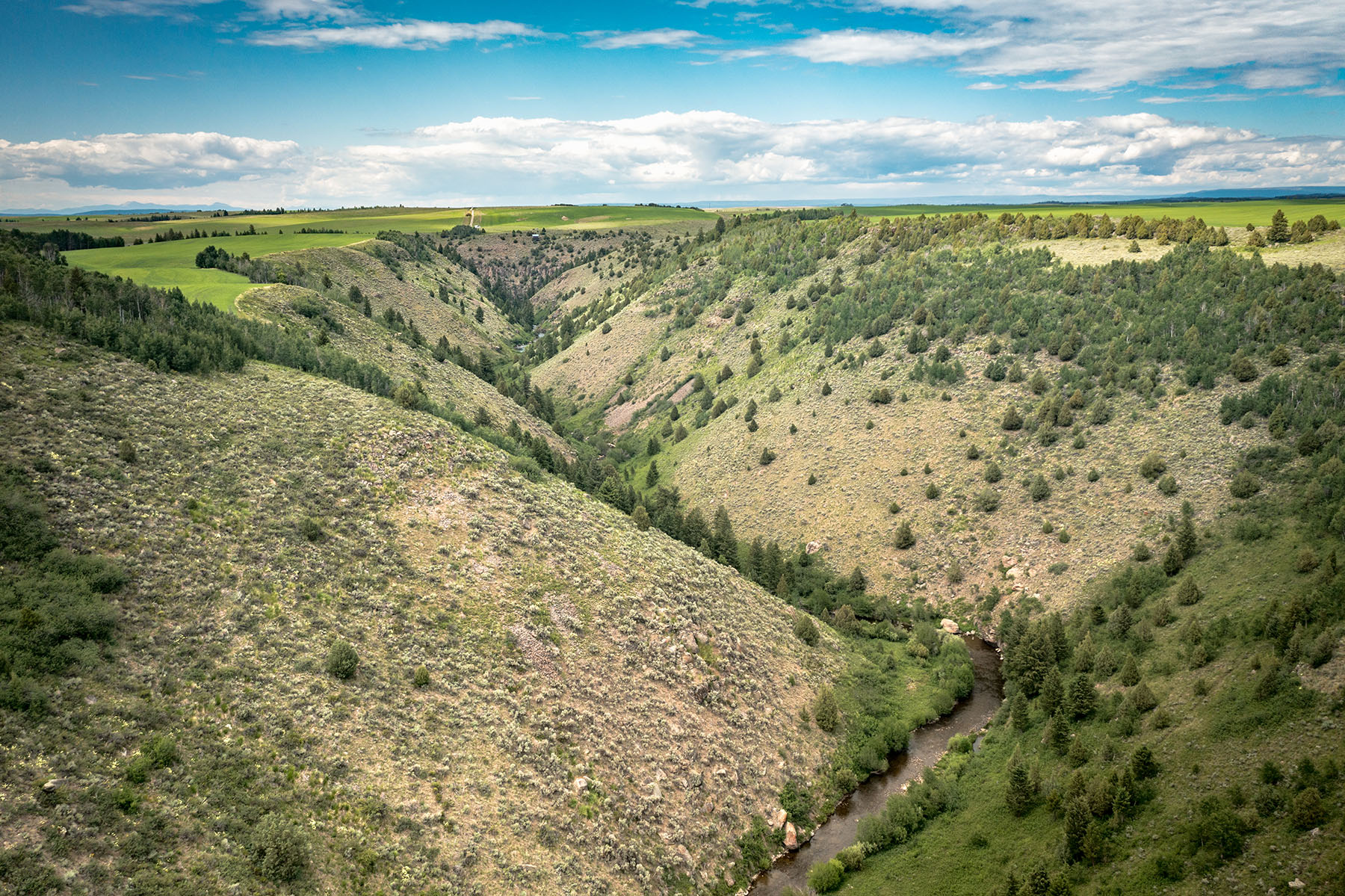 Badger Creek Canyon Ranch property picture 8 of 37