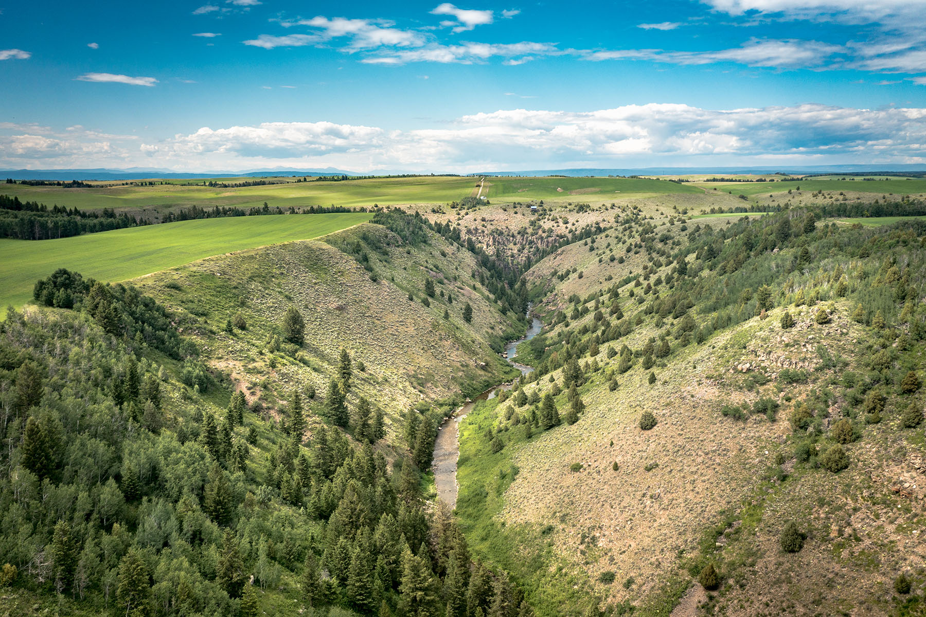 Badger Creek Canyon Ranch property picture 11 of 37
