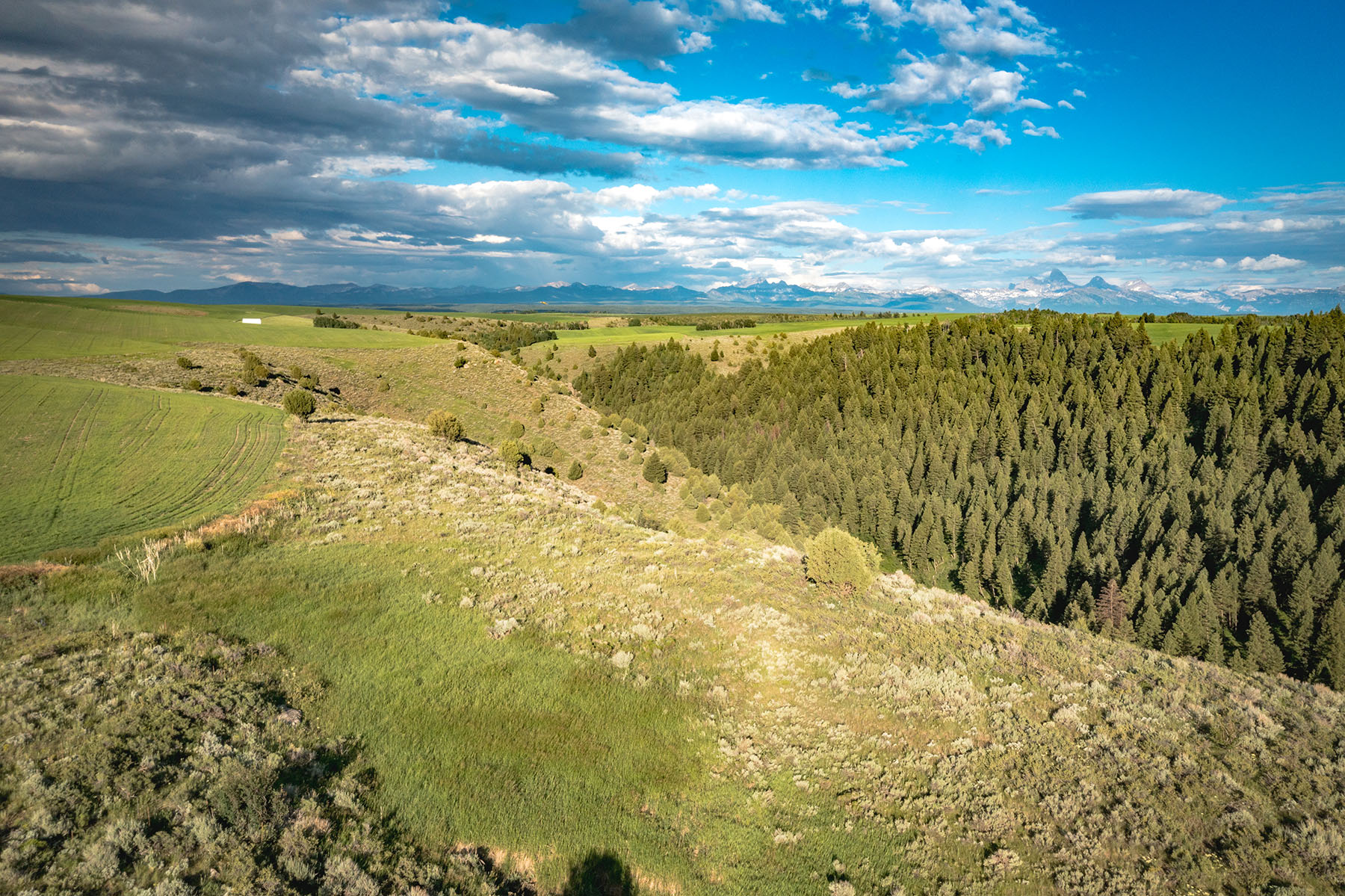 Badger Creek Canyon Ranch Sold Idaho Hall and Hall
