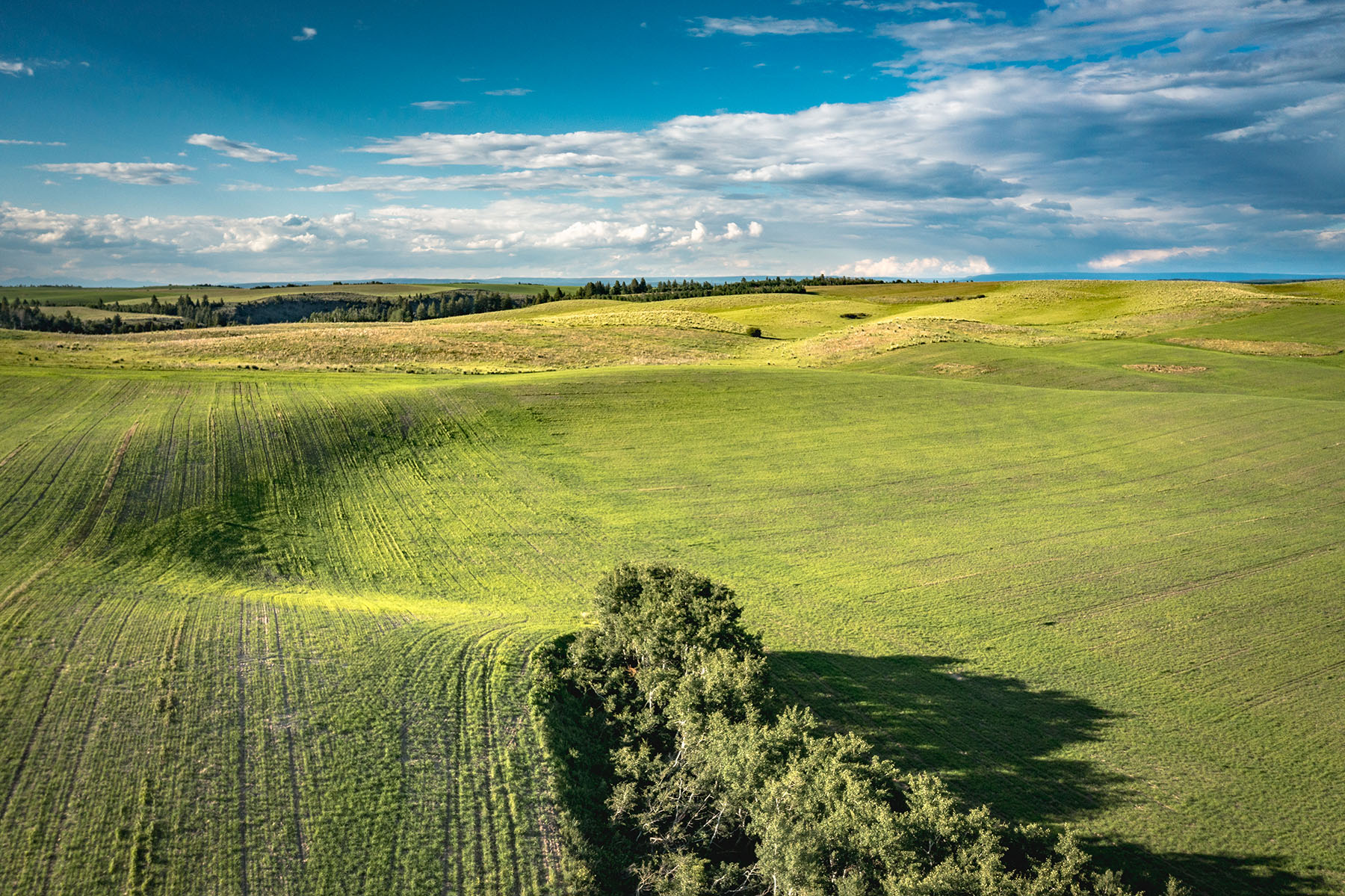 Badger Creek Canyon Ranch property picture 36 of 37