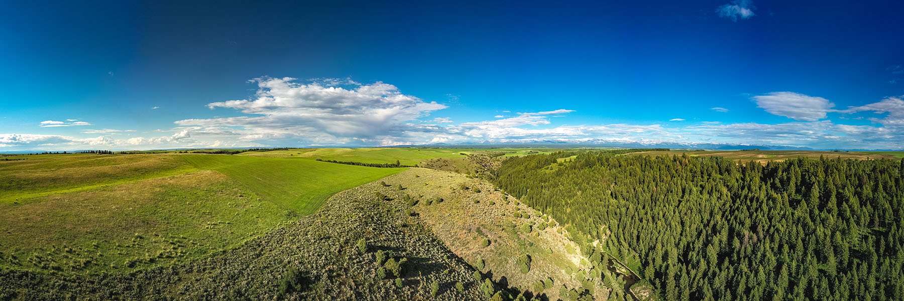 Badger Creek Canyon Ranch property picture 20 of 37