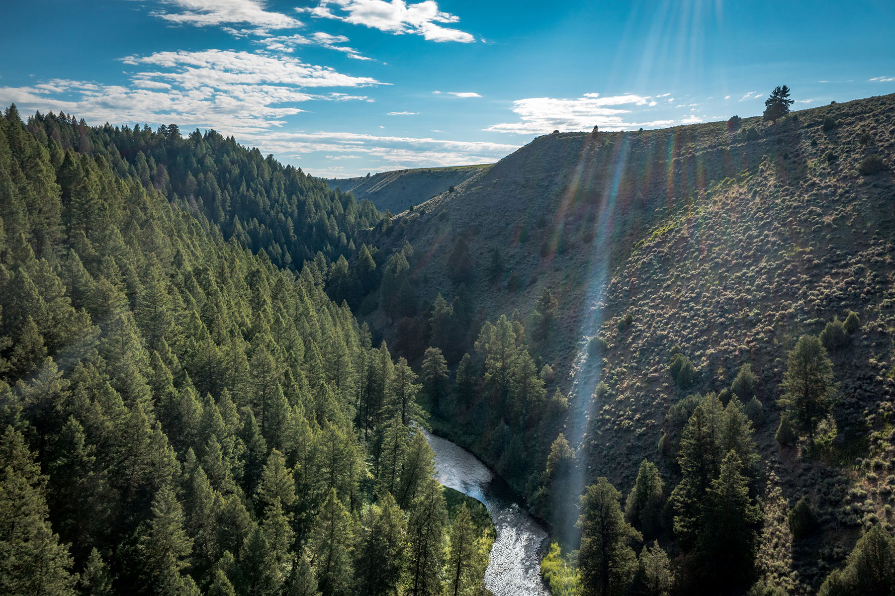 Badger Creek Canyon Ranch property picture 6 of 37