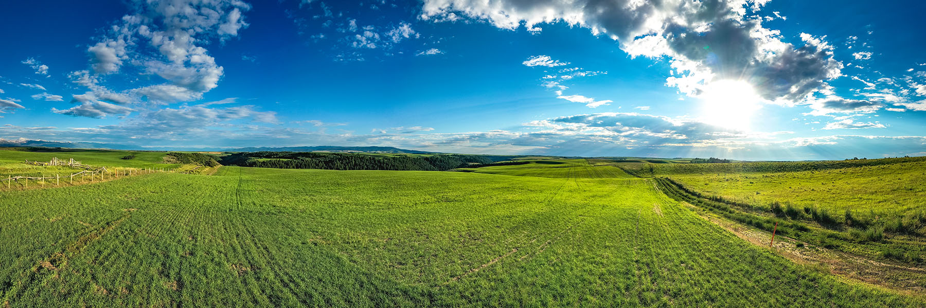 Badger Creek Canyon Ranch property picture 14 of 37
