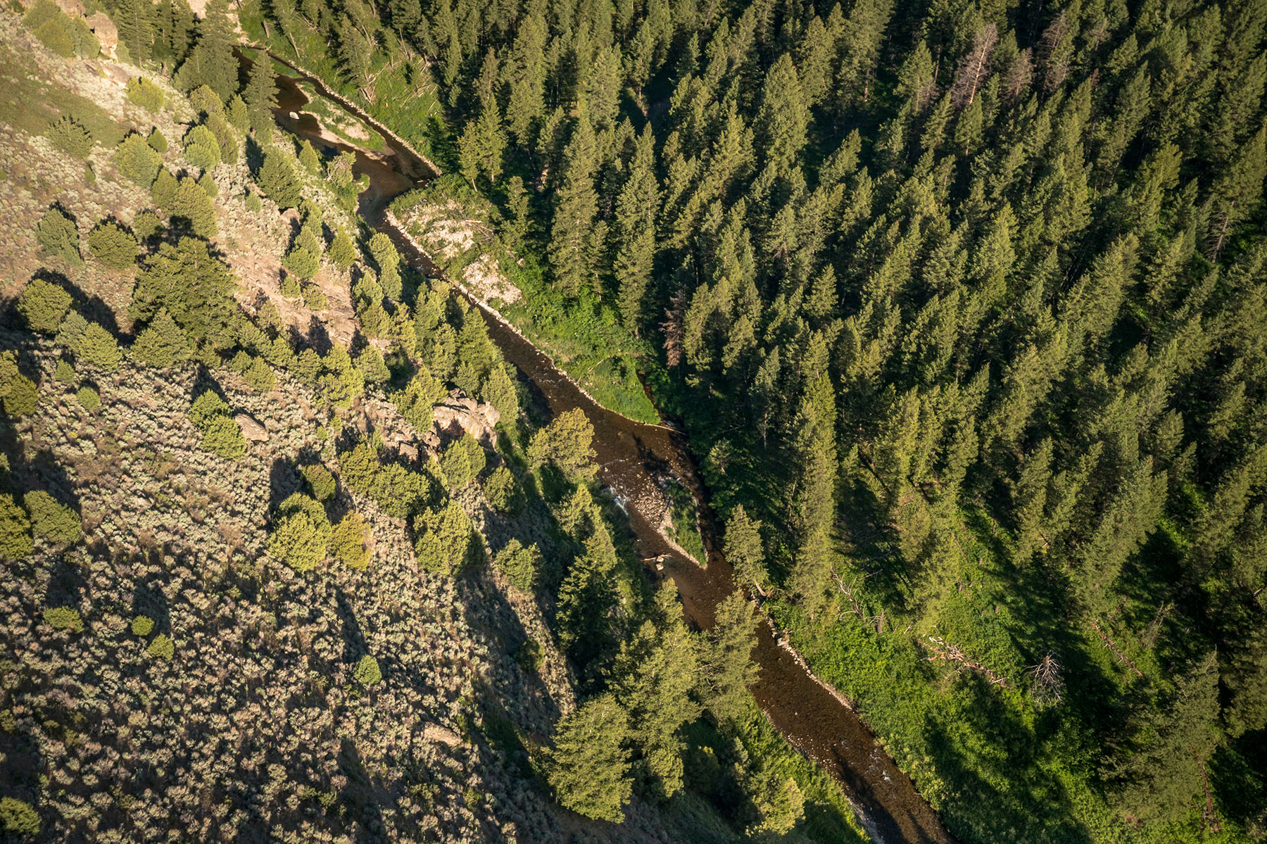 Badger Creek Canyon Ranch Sold Idaho Hall and Hall