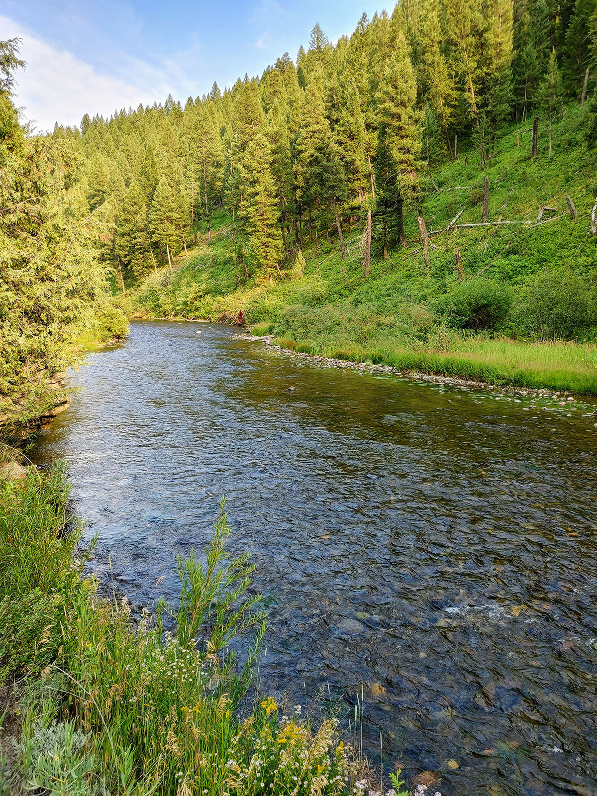 Badger Creek Canyon Ranch property picture 10 of 37