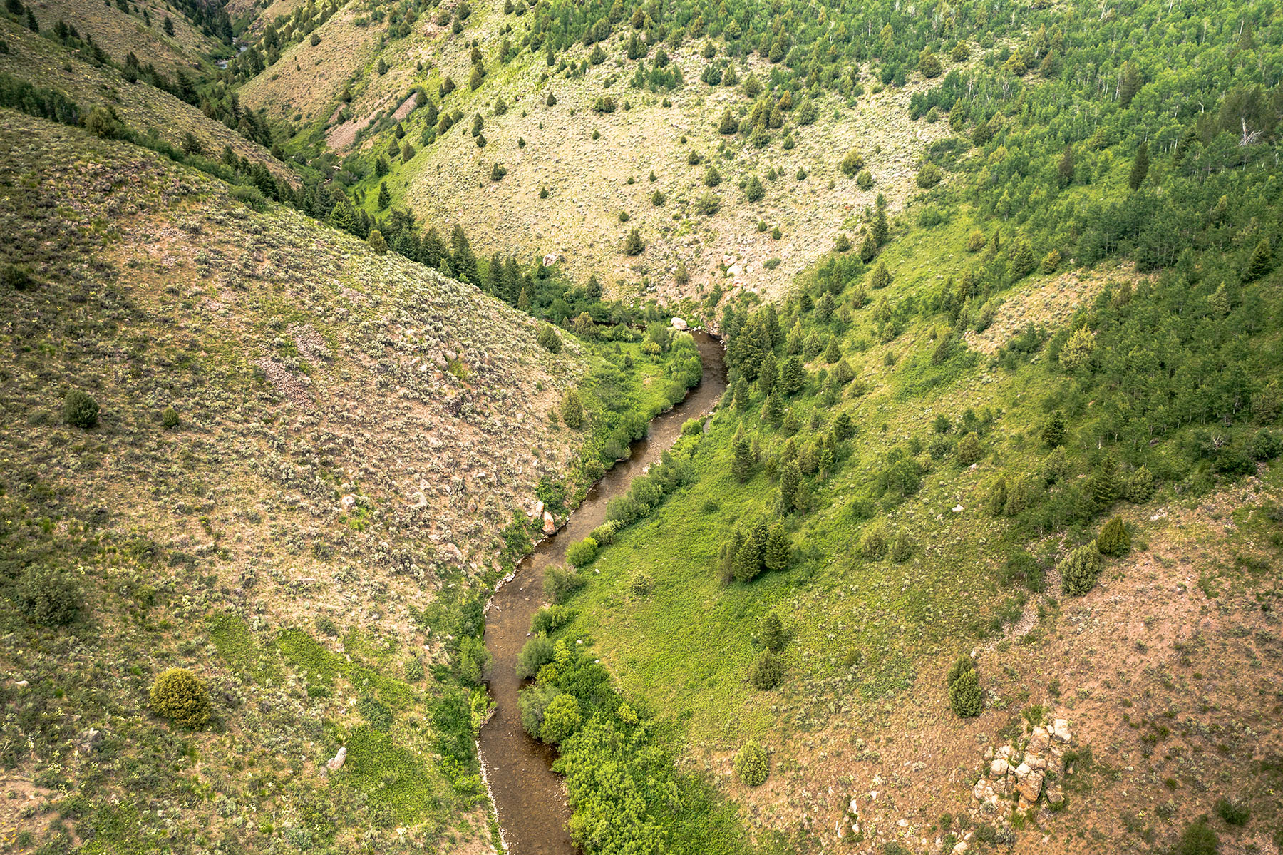 Badger Creek Canyon Ranch property picture 5 of 37