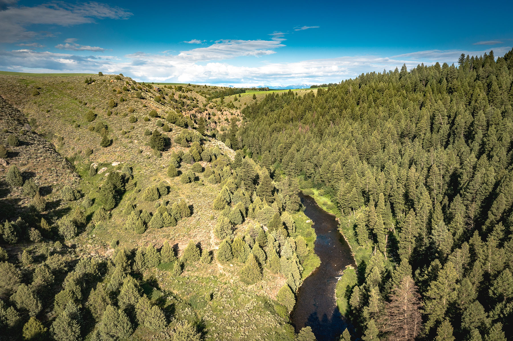 Badger Creek Canyon Ranch property picture 13 of 37