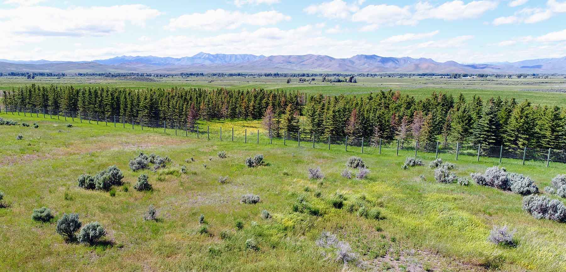 Timmerman Ranch property picture 16 of 18