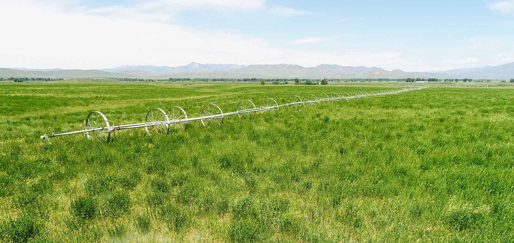 Timmerman Ranch property picture 12 of 18