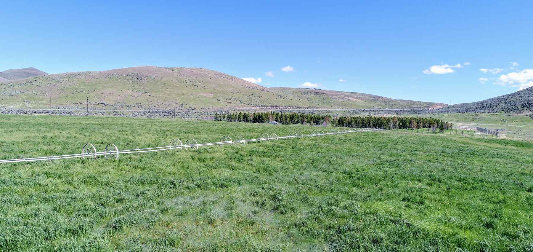 Timmerman Ranch property picture 3 of 18