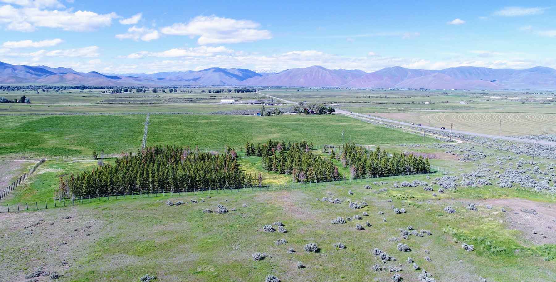 Timmerman Ranch property picture 15 of 18