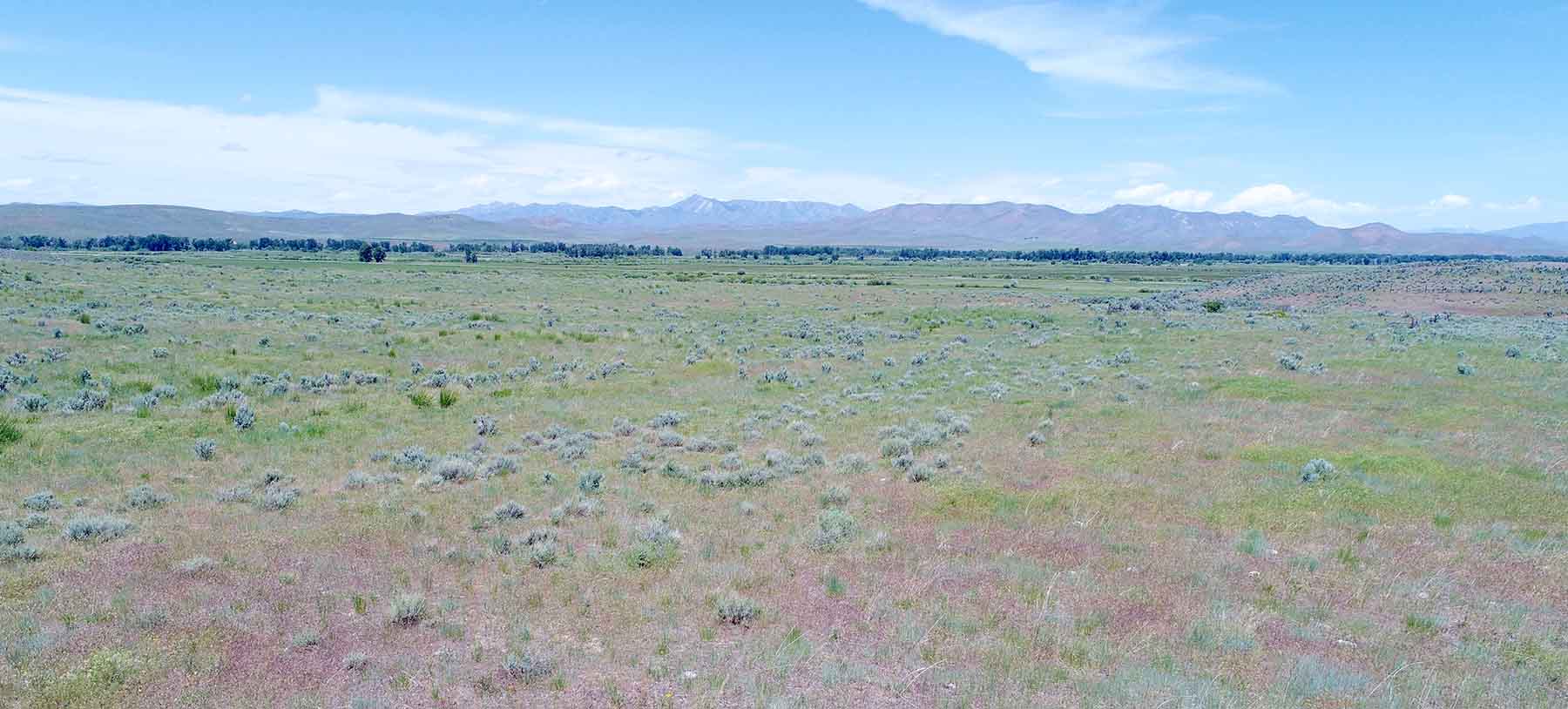 Timmerman Ranch property picture 14 of 18